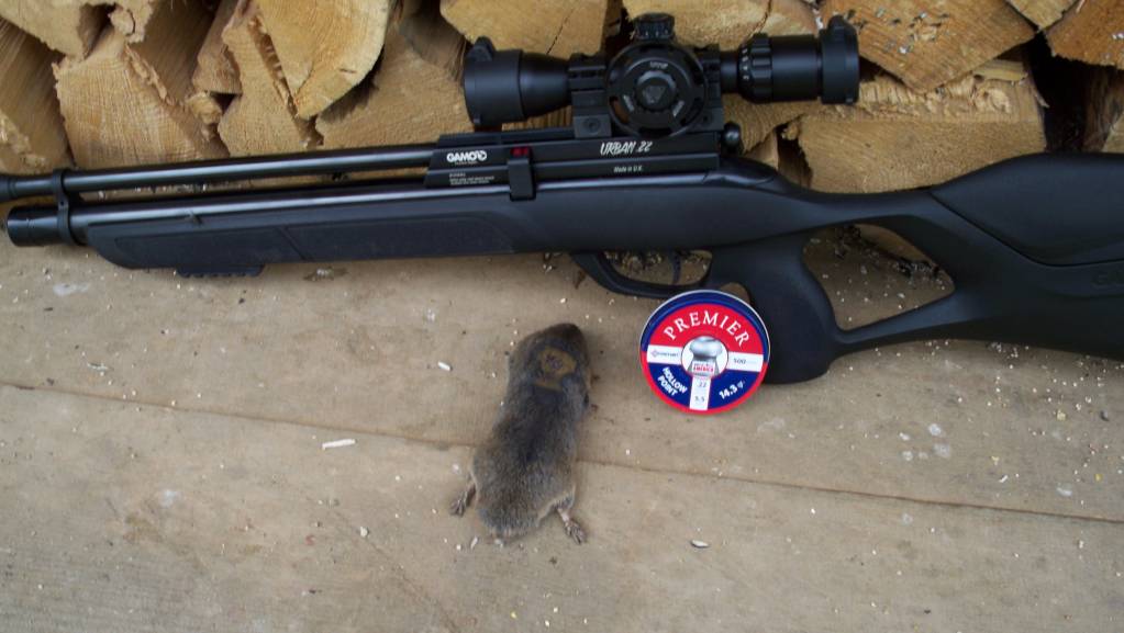 April 24 21 Gopher 1.1619287557.JPG