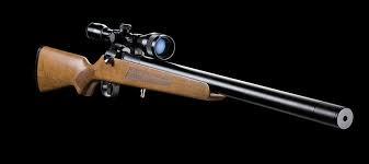 artemis_with_scope_large.1599109903.jpg