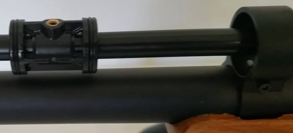 av - Copy.1630552436.jpg