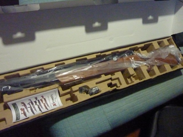 Avenge-X  (4) (Small).JPG
