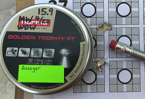 Avenger 30yds 16gr.jpg