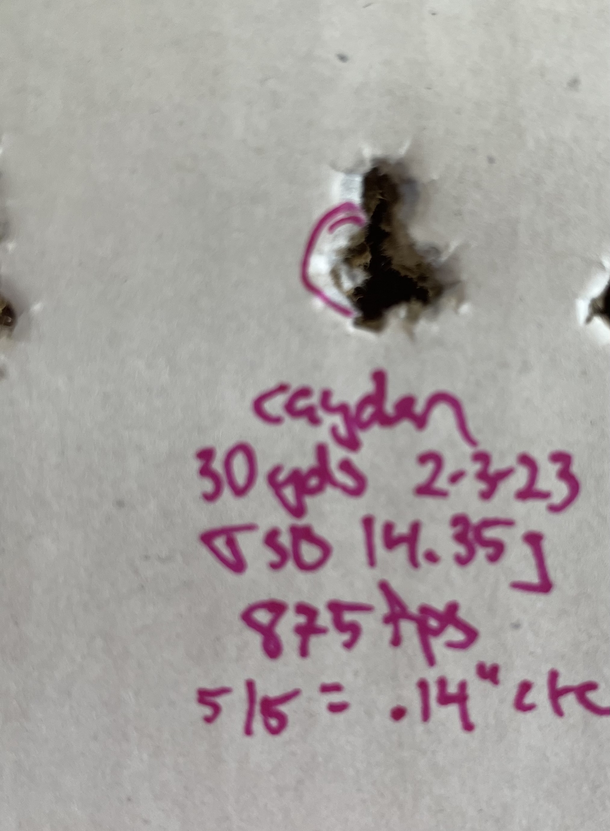 B38007BA-2A72-4B66-A085-18F03C0CD066.jpeg