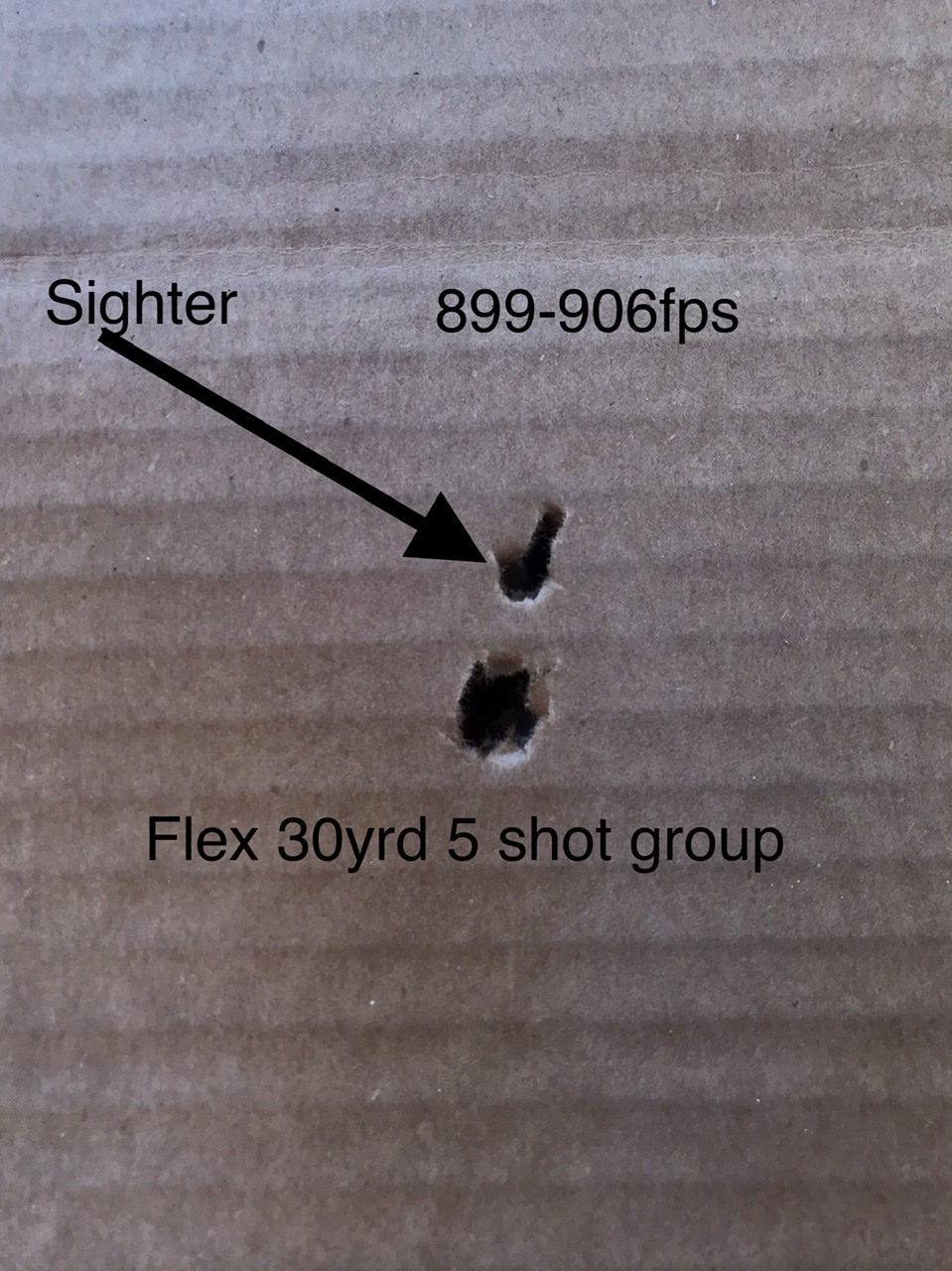B5CF8FA1-AEE0-4E36-8CA8-787D14332C38.1612727424.jpeg