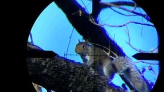 B5D793D5-C22E-4E33-BF07-257B8865170E.1605998823.gif