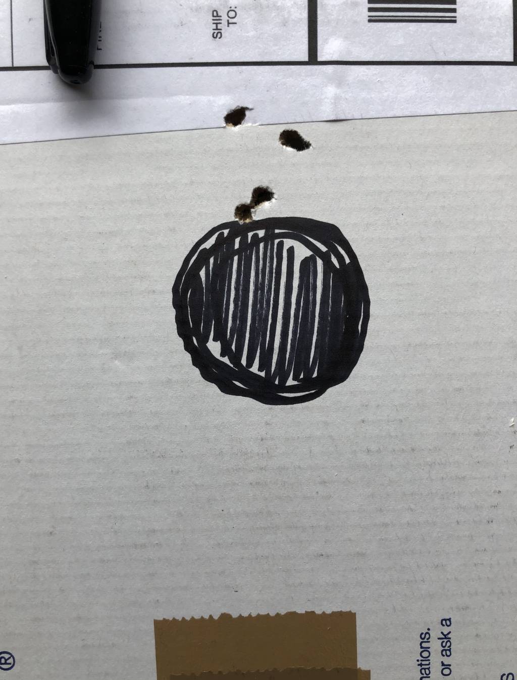 B9AE0284-1E70-4627-8EE6-53E62342B2D1.1612219472.jpeg