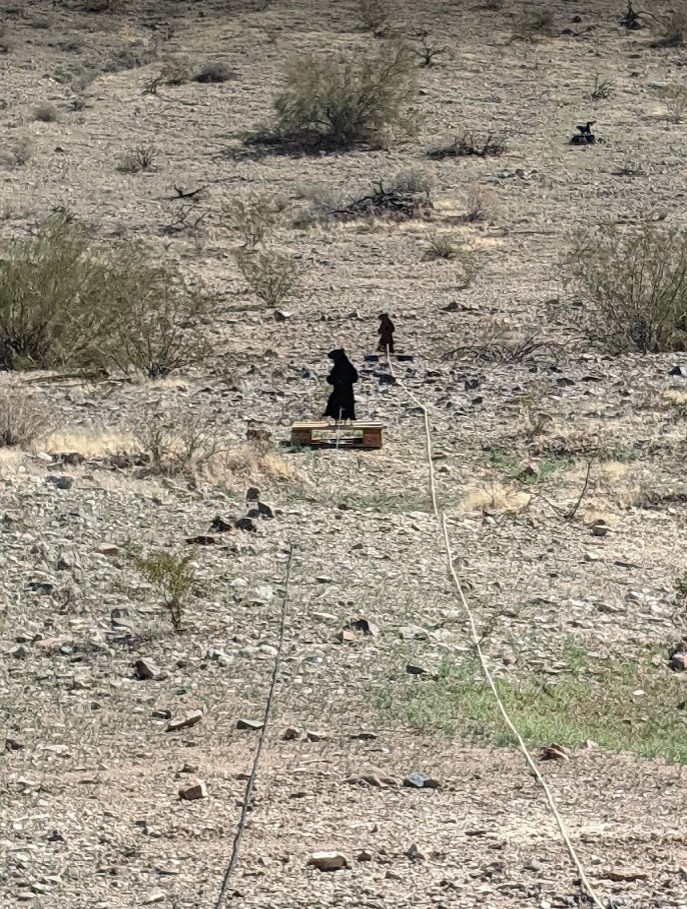 BEARS.1614494646.jpg