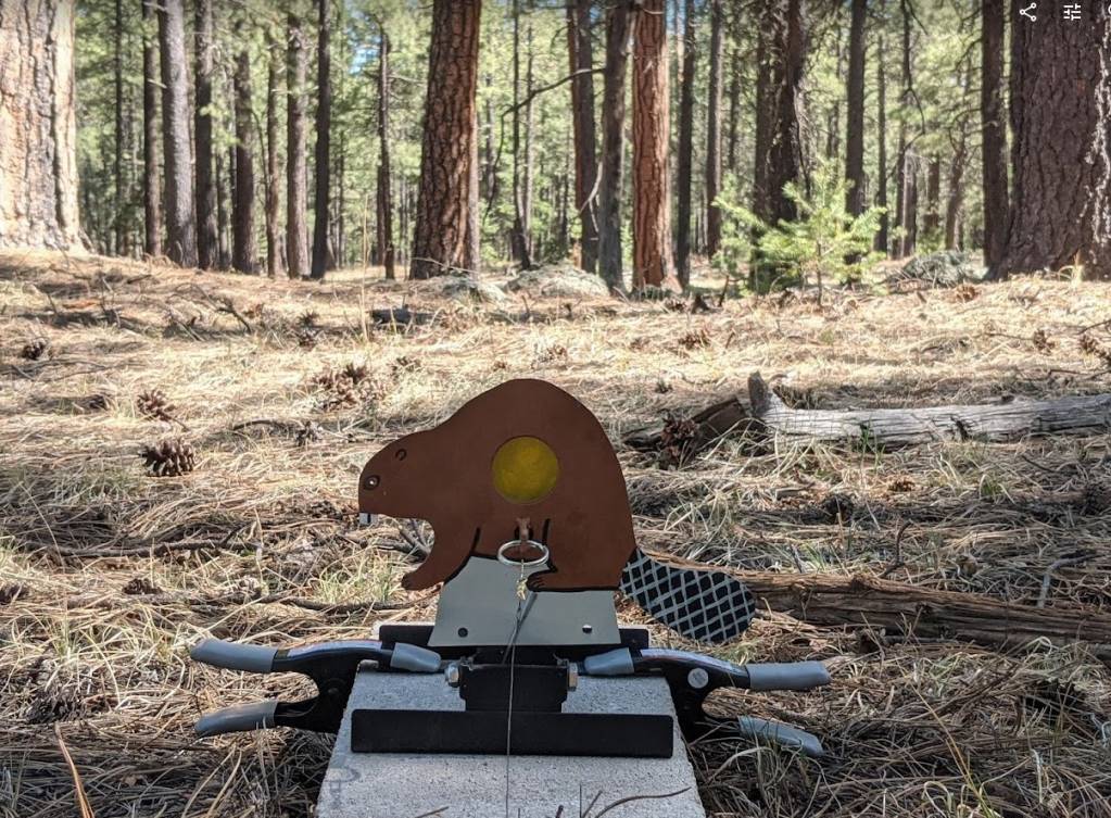 beaver.1652676627.jpg