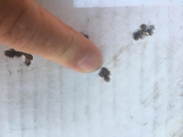 bee659b39a6ac41311808ba0e7c59ac9.jpg
