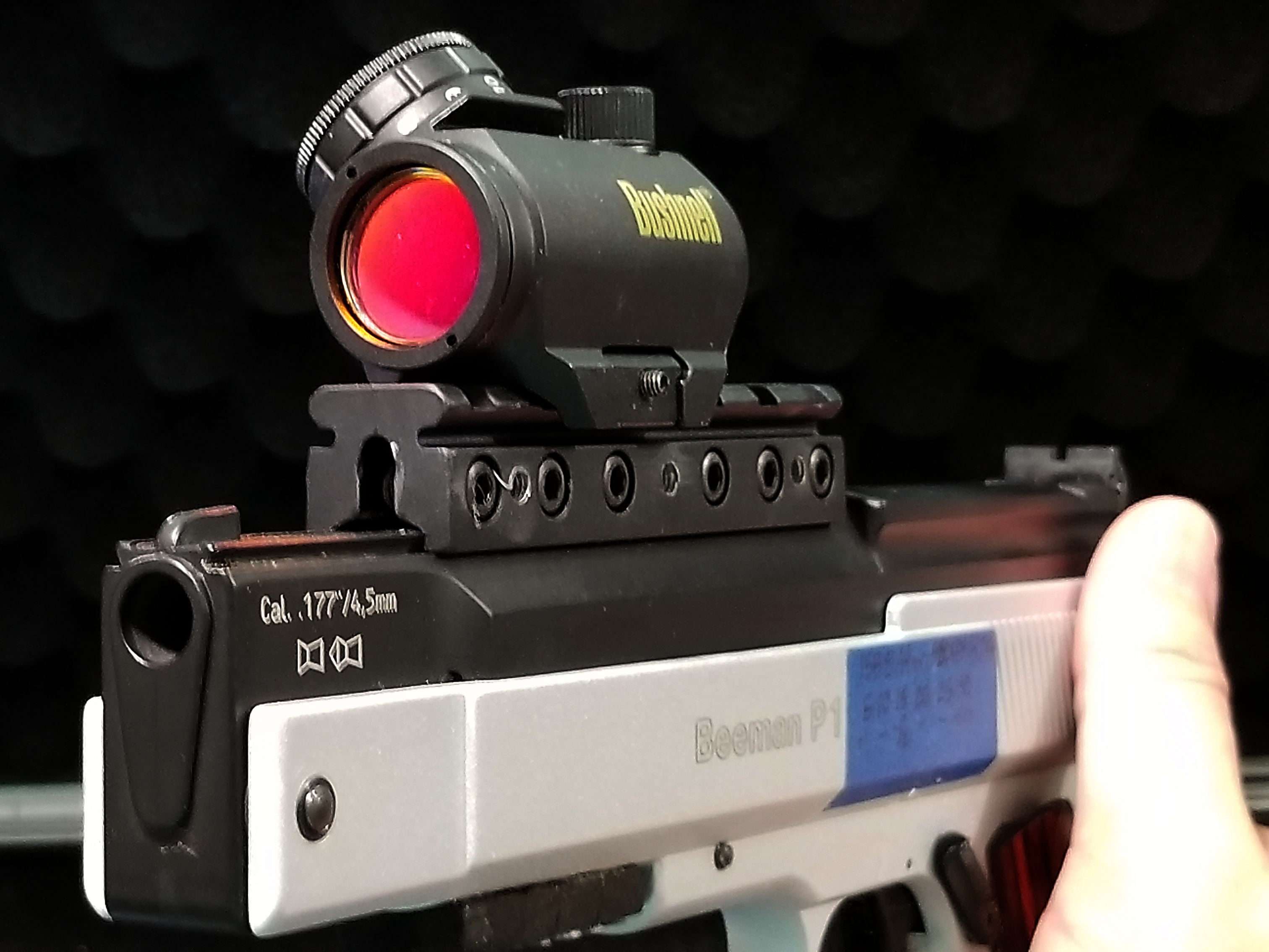 Beeman P1 Silver Bushnell Red Dot 2.jpg