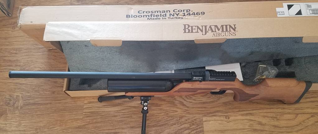 benjamin.1626536089.jpg