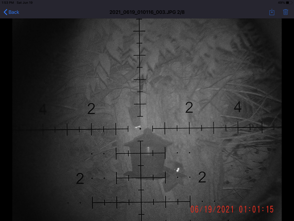 BF274EB4-734E-461F-80F0-DB9F14F2233D.1624137968.png