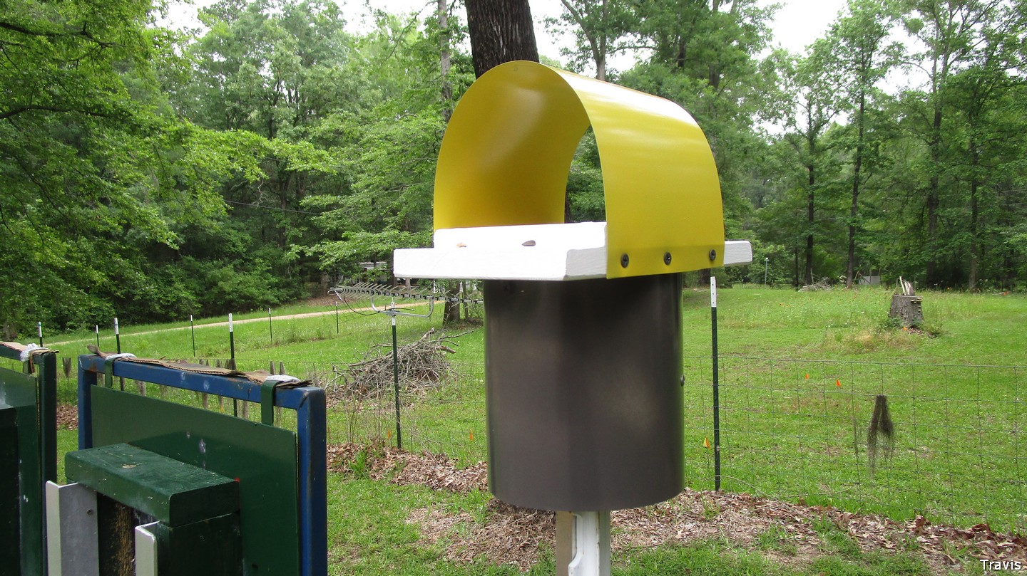 Bird Feeder-2.jpg