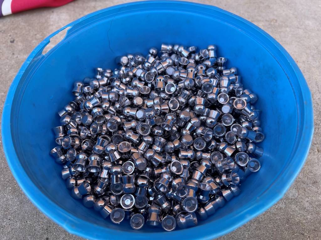 Bowl of pellets.1647791922.jpg
