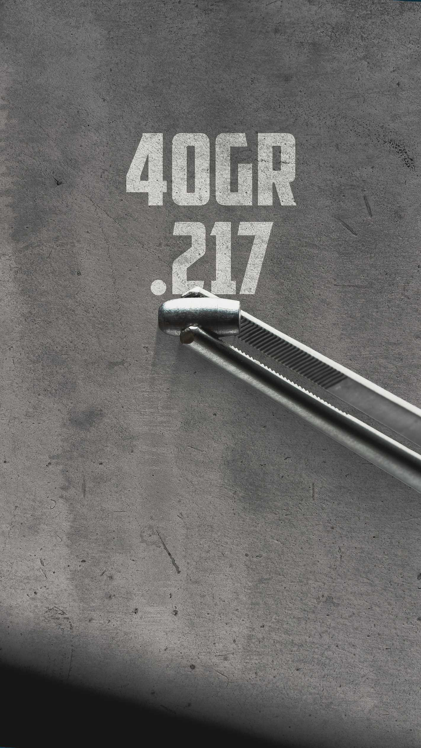 Bravo42- slug 1.JPG