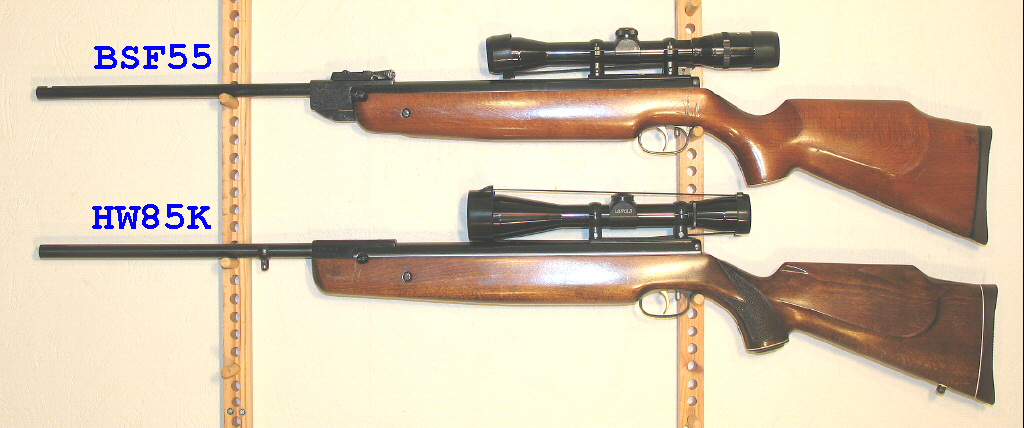 BSF5519.1611286814.jpg