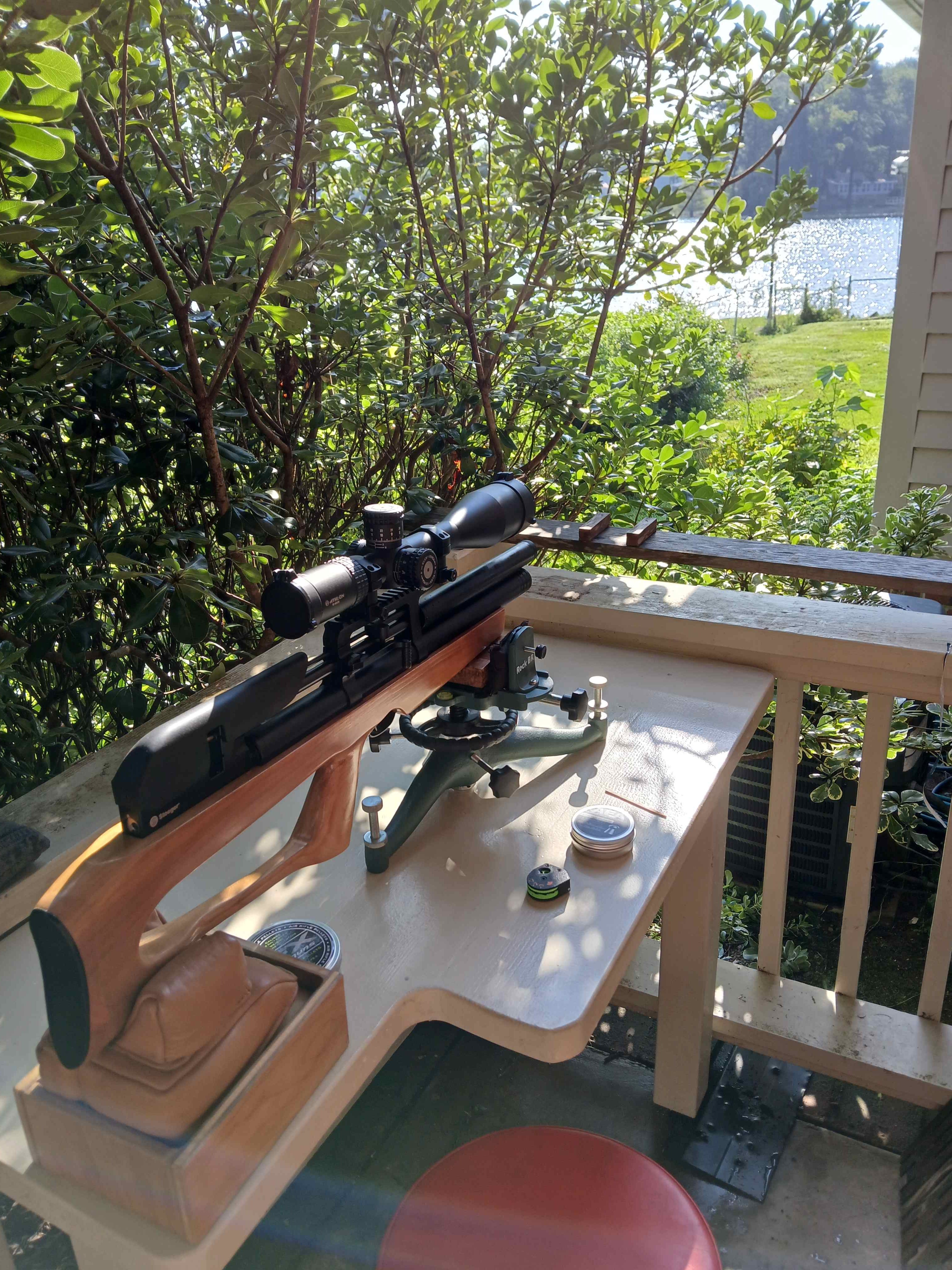 bullshark on bench.jpg