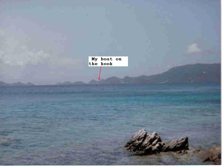 BVI-1.JPG