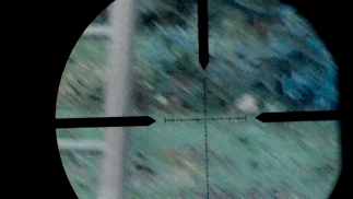 C0B2F3B2-0F76-461B-A557-77A51513C9E9.1605450739.gif