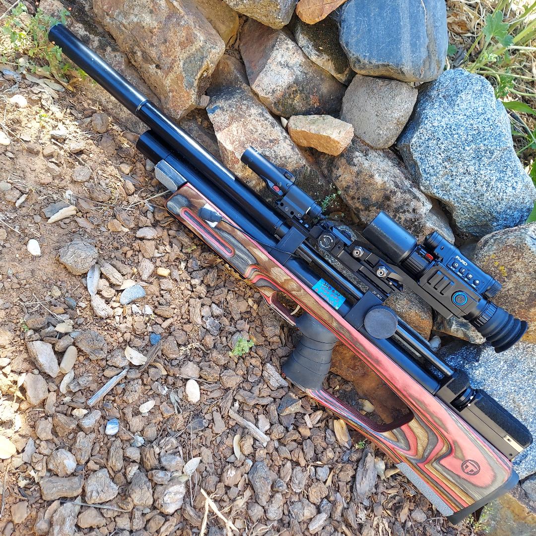 C1.jpg