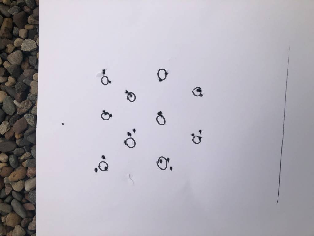 C61BB199-901D-473F-87B0-98E277133C71.1619224354.jpeg