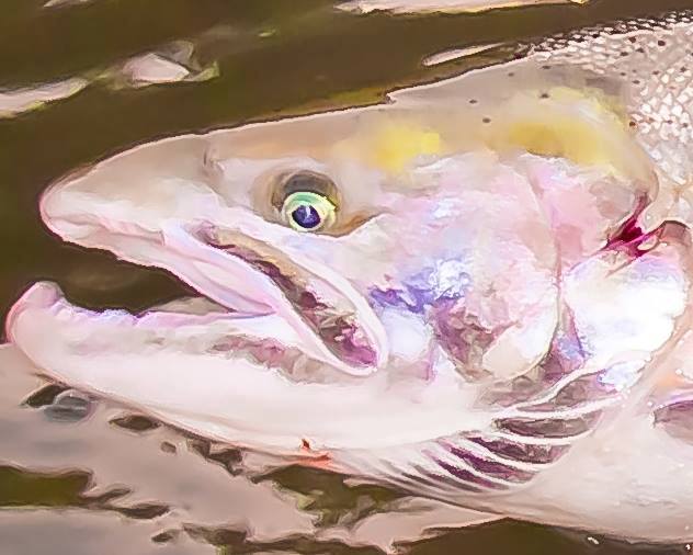 C61BDC3C-2D75-4A2E-BBB5-3D6C21884852.1612802599.jpeg