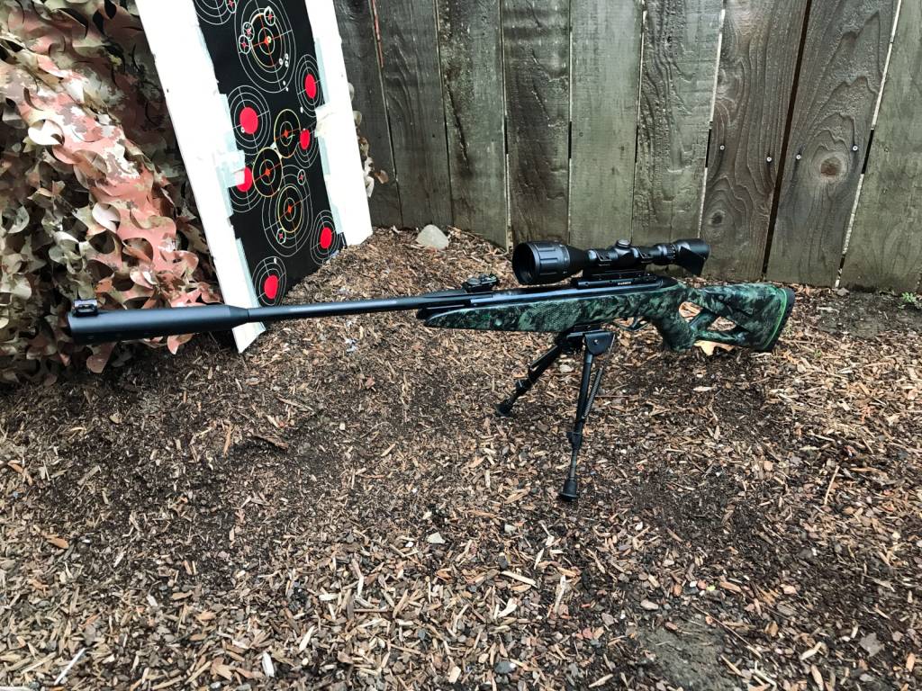 camogamosilentcat003a.1626311601.jpg