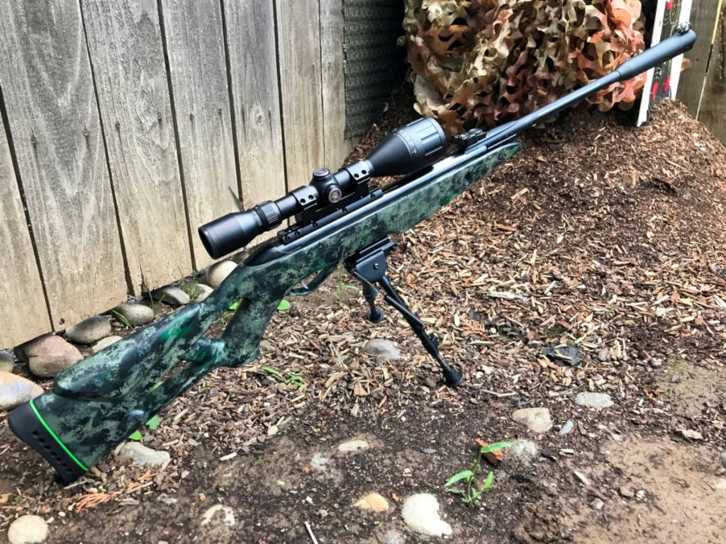 camogamosilentcat003b_medium.1601005008.jpg