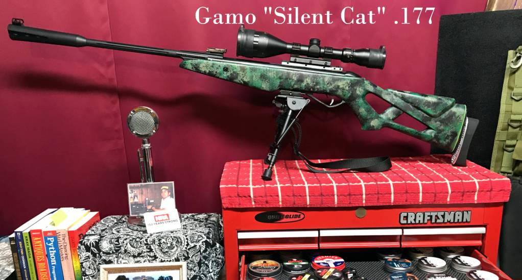 camoGamoSilentCat2021b.1623872047.jpg