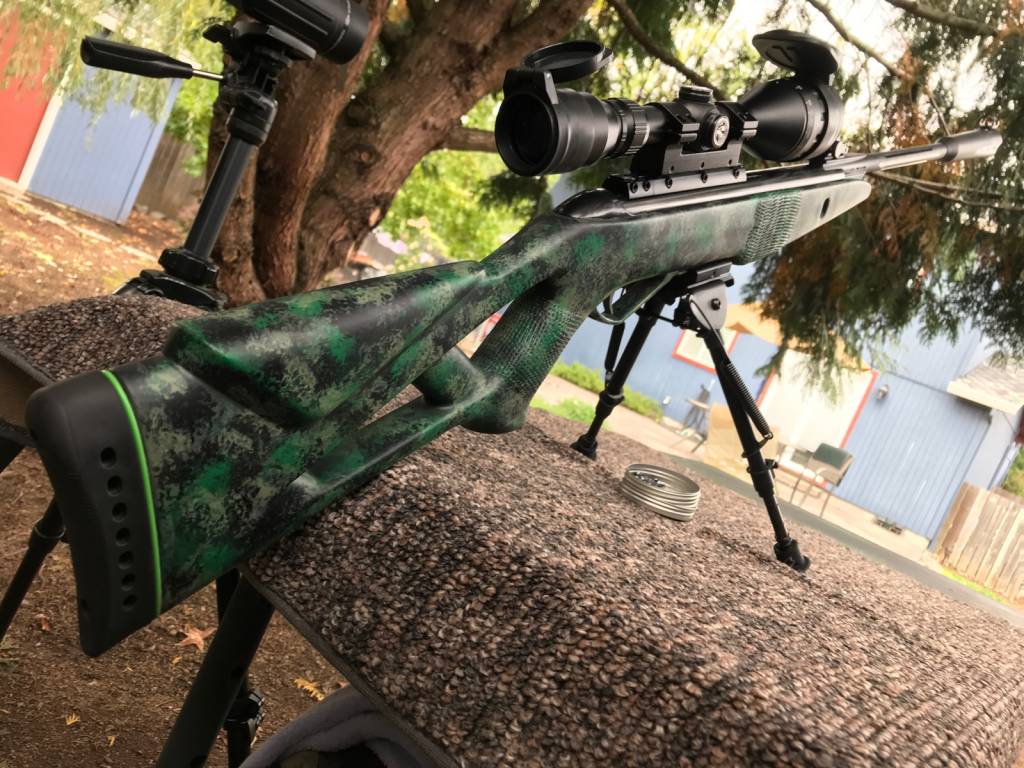 camogamosilentcatbenchrest002.1614053088.jpg