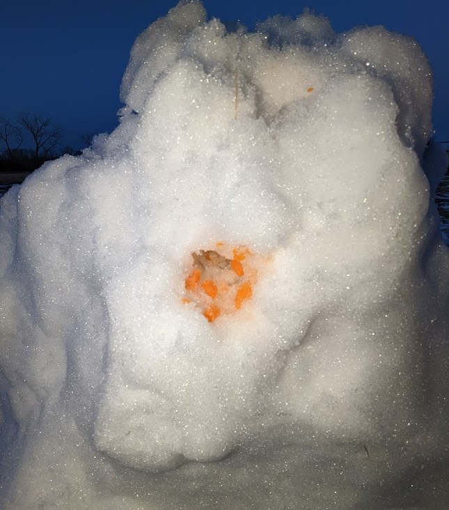 carrot.jpg