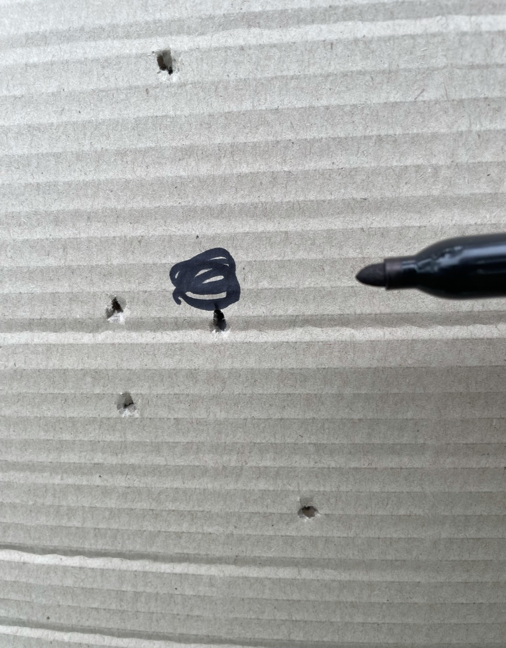 CFBB0135-950F-4C1D-816D-C08E10D9B6C7.1624724516.jpeg