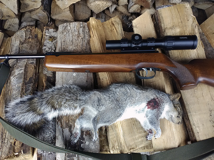 chubbyrat.jpg