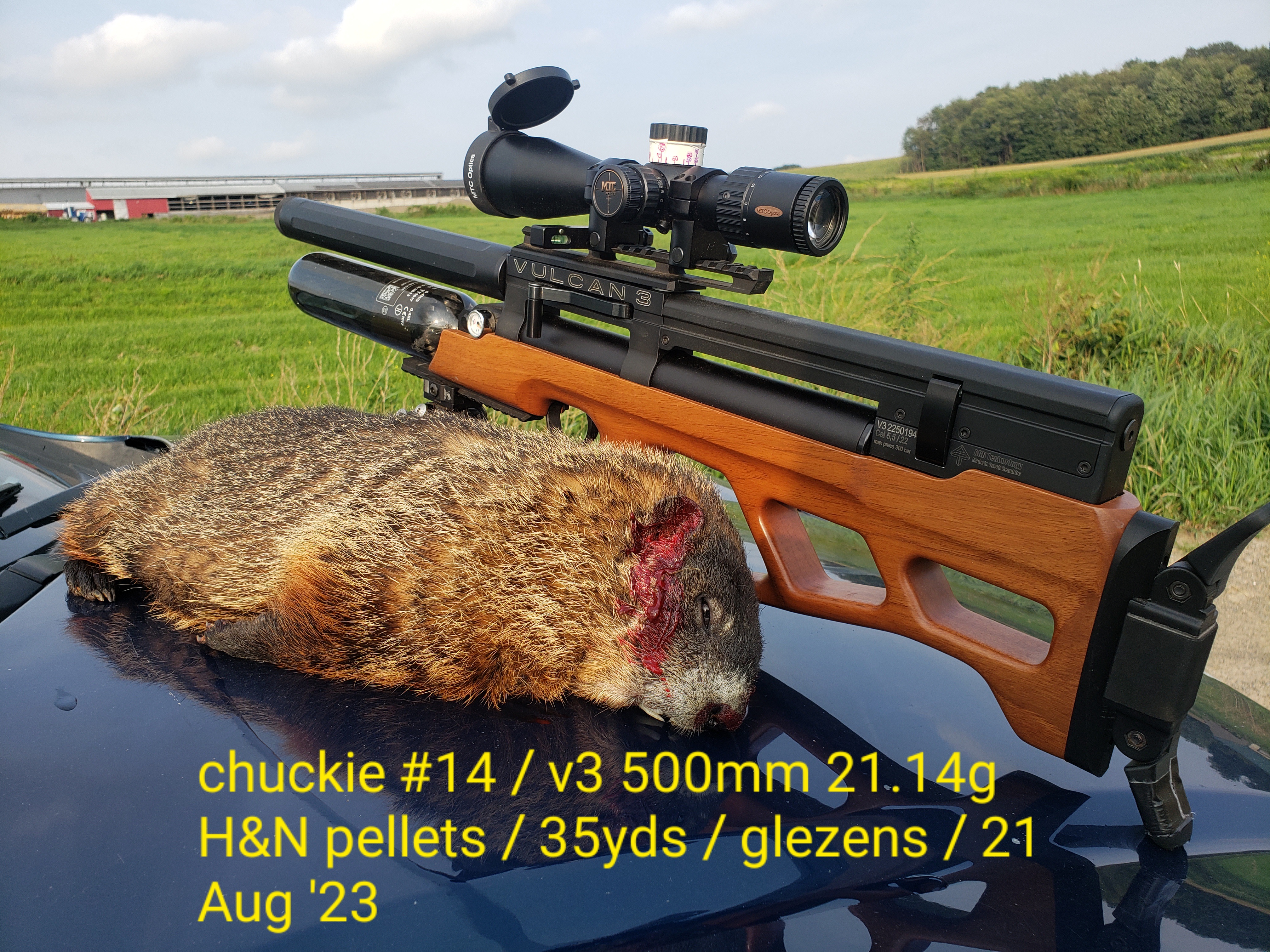 chuckie_14_2023.jpg