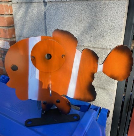 clean nemo.1611475088.jpg