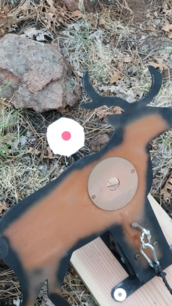 clean target.1623742217.jpg