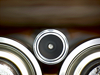Coal WP Field 1-3.1628259905.gif