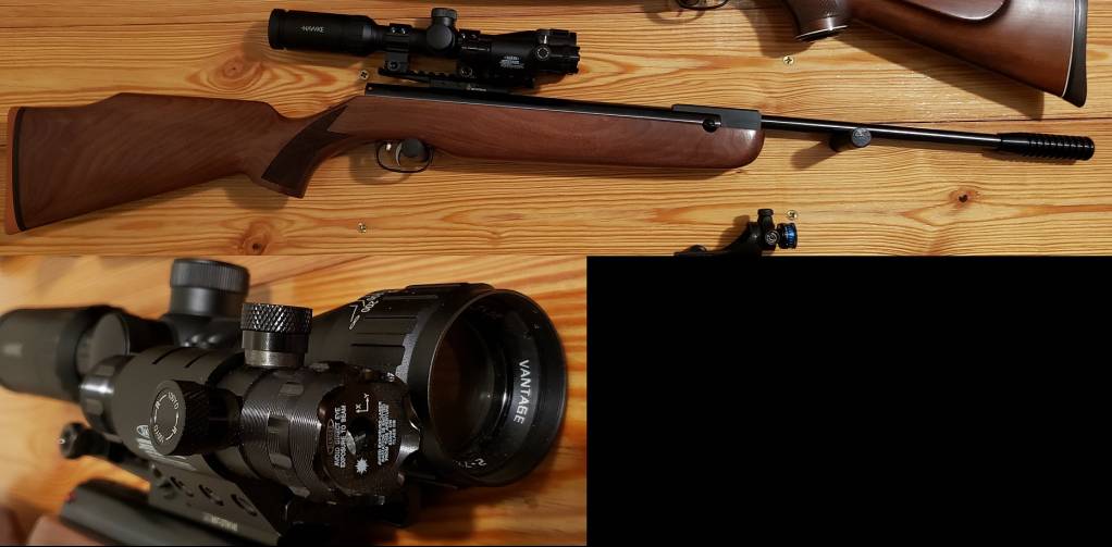 combo pic.1641523497.jpg