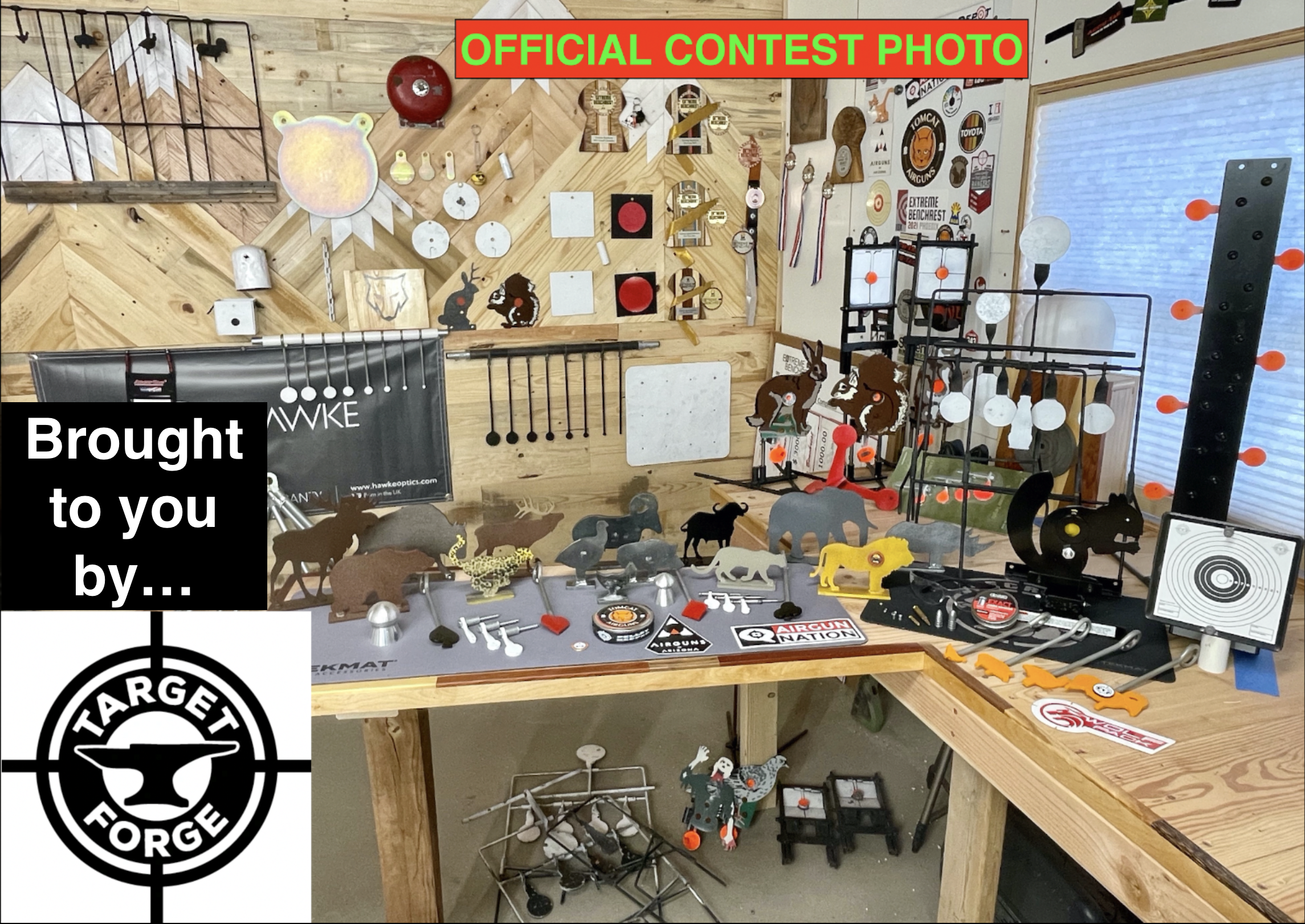 Contest photo.1650637508.png