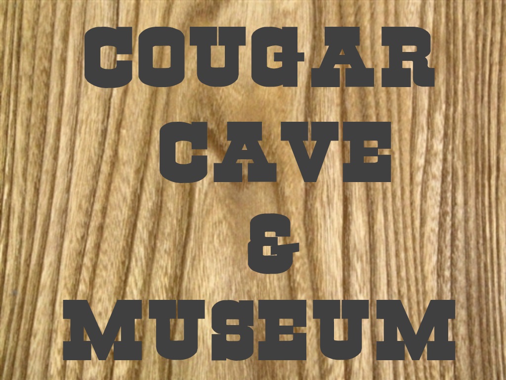 cougarcave5.1622647677.jpg