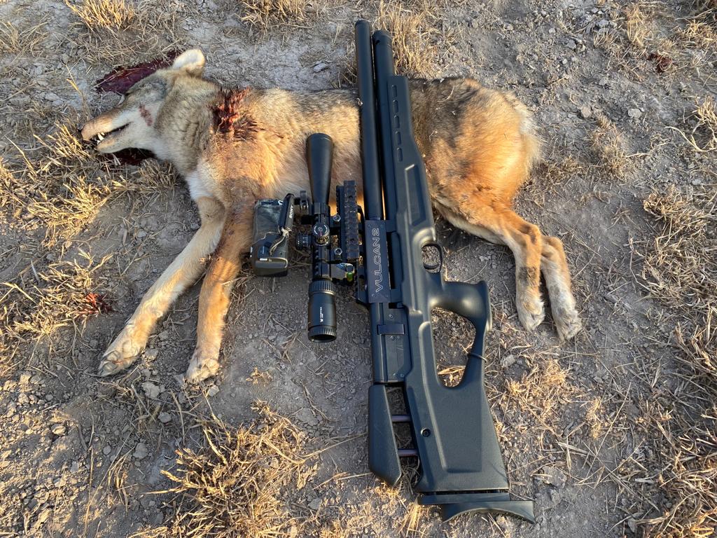 Coyote 7.01.22 Hades Cal .30.jpeg