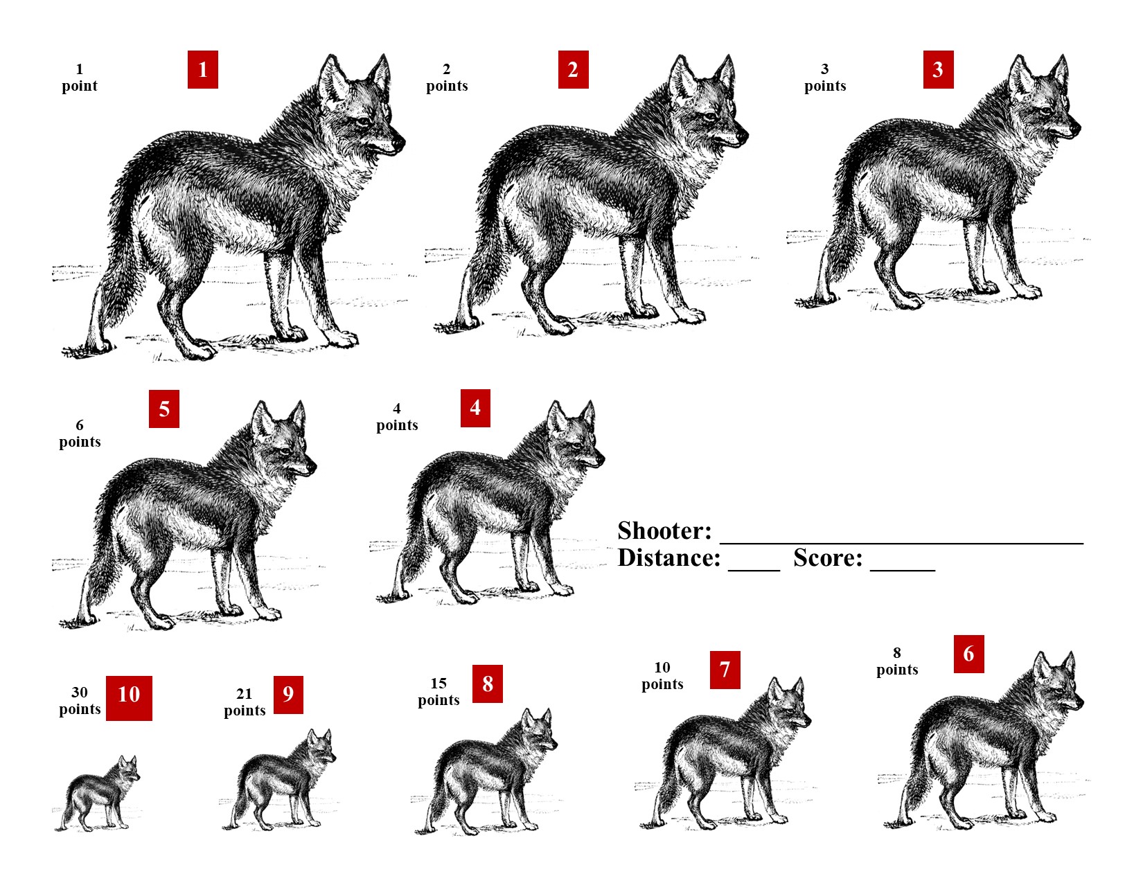 Coyote KYL Target A.jpg