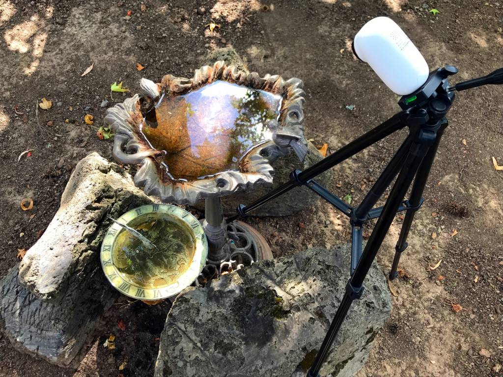 critterpatrol_remotescope.1628292159.jpg