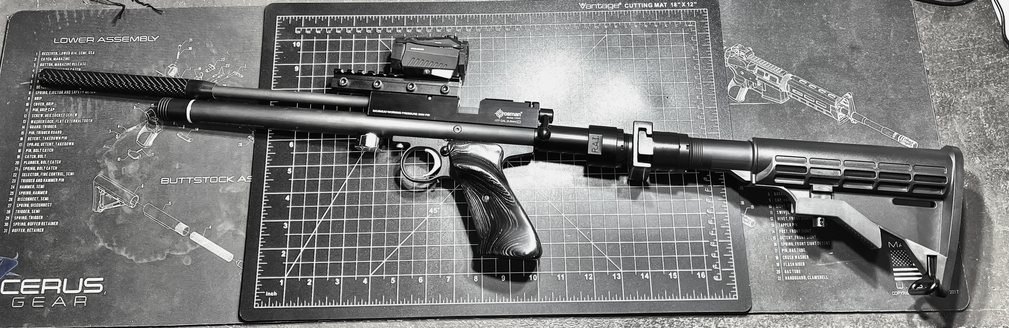 Crosman 1701P Carbine.jpg