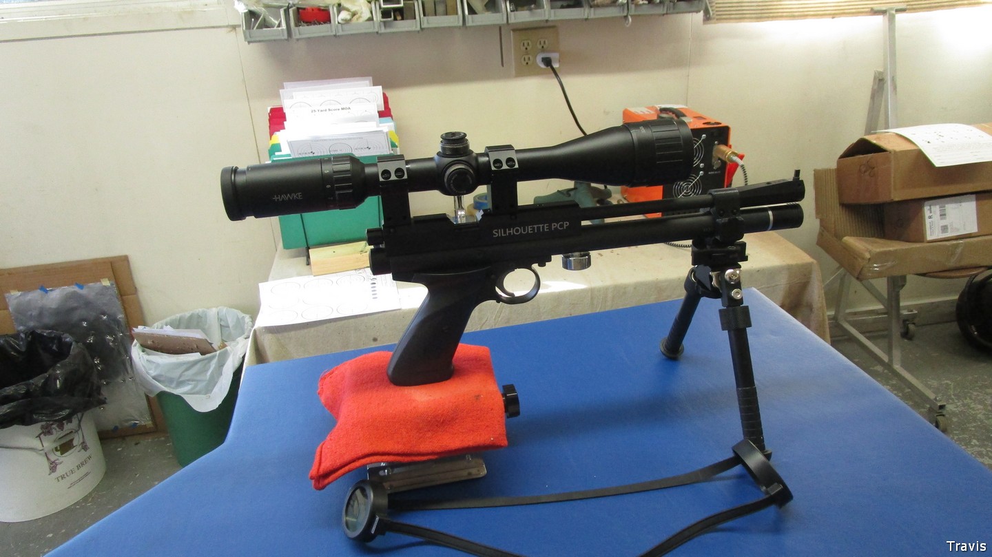 Crosman 1701P Silhouette.10.2.jpg