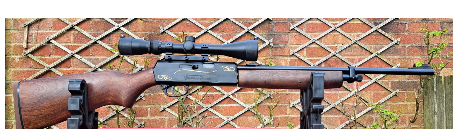 Crosman 2200 W.jpg