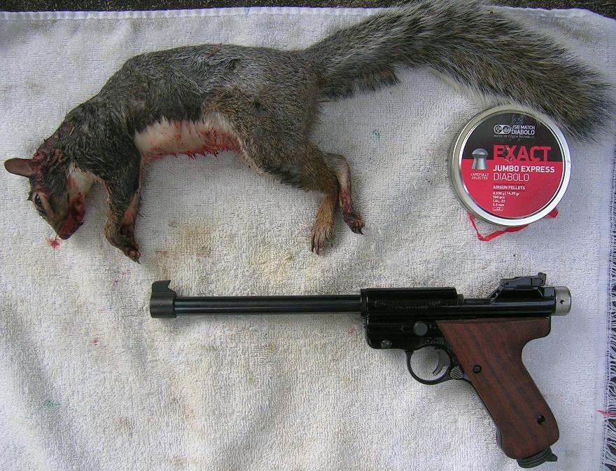 Crosman MKILD.JPG