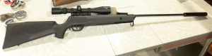 CrosmanSummitRanger1.1625153839.jpg