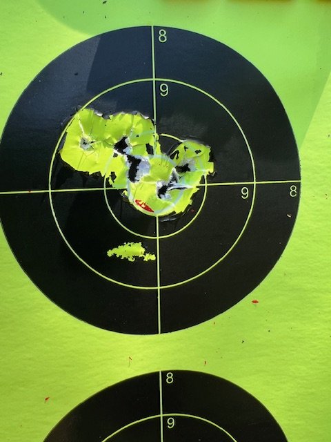 Crown QD Fox.jpg