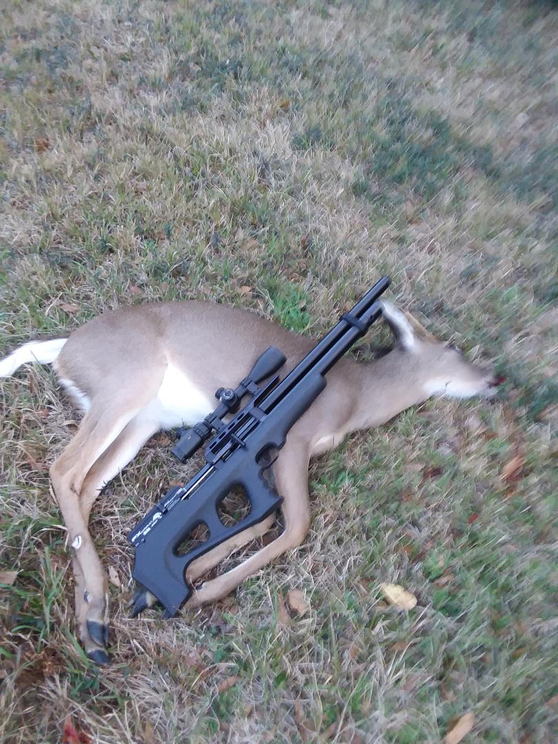 cull buck.1604960694.jpg
