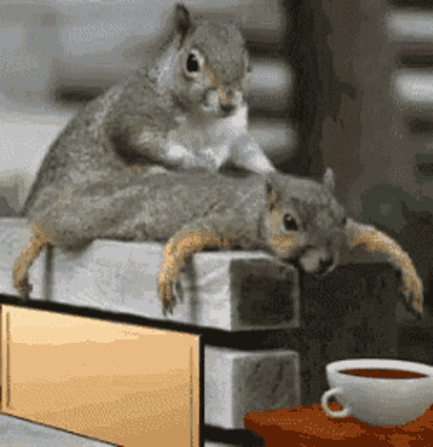 D70728AE-BBAA-4A3F-9D01-8290971B902B.gif